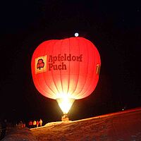 Apfel im Schnee