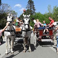 Blütenfest 2018
