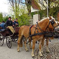 Blütenfest 2017