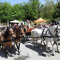 Blütenfest 2018