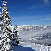 Apfel im Schnee