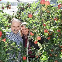 Genuss-Apfelfest im  Apfeldorf Puch und Erlebnisfahrt