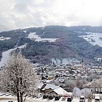 Apfel im Schnee