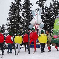 Apfel im Schnee