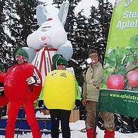 Apfel im Schnee