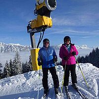 Apfel im Schnee