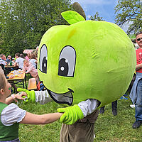 Apfelblütenfest 2024