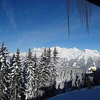 Apfel im Schnee